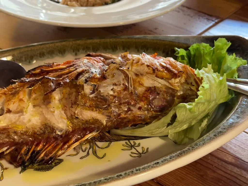 Thana S_Mare Nostro Verona_Caldierino-Rota_review