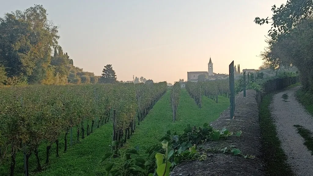 Calmasino_Calmasino_slider_image_3