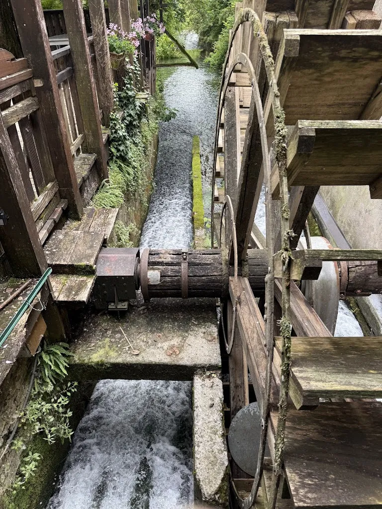 Assaf Porat_Trattoria Molin Vecio_Caldogno-Rettorgole-Cresole_review