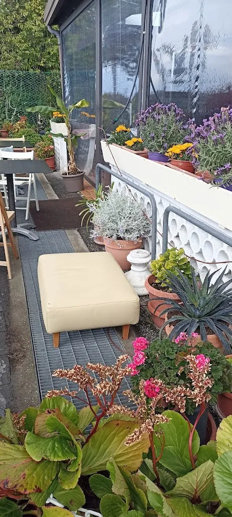 Osteria dal Pupi_Ca' Savio_slider_image_1