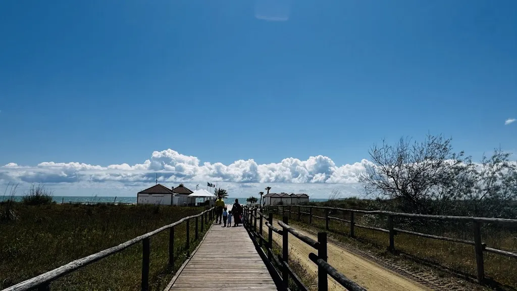 Nikita Talele_bar Banana_Ca' Savio_review