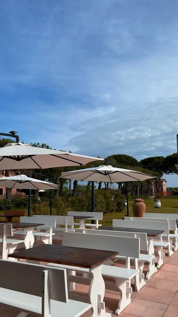 Al Mar restaurant in Ca' Savio