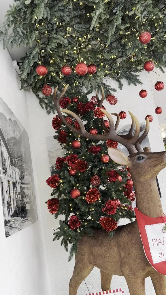 La Piazzetta_Calalzo di Cadore_slider_image_2