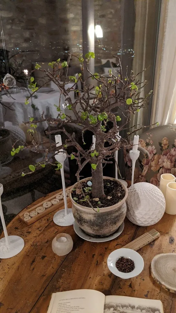 Menu_Calvenere_Calvene_image_9