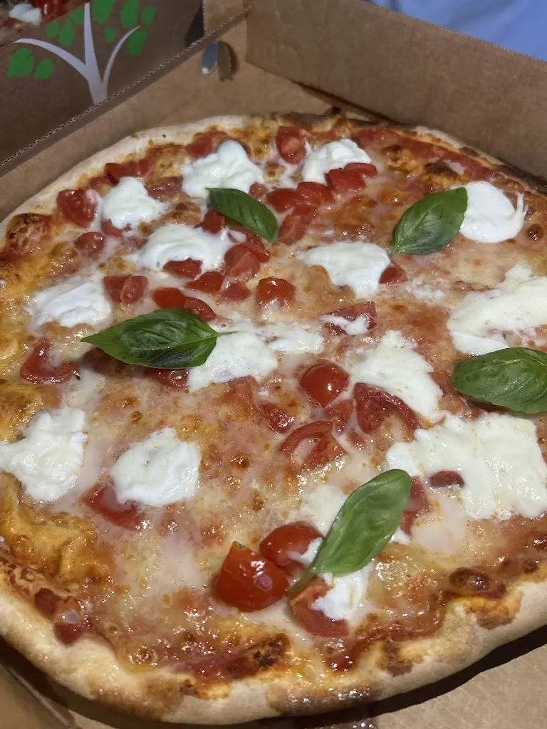 aurora guzzonato_Pizzeria Da Asporto Vecchio Trenino_Caltrano_review