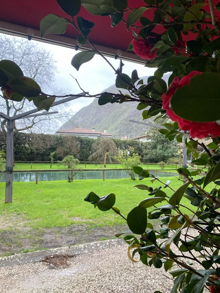 Luigi Pirillo_Villa Damiani_Campese_review