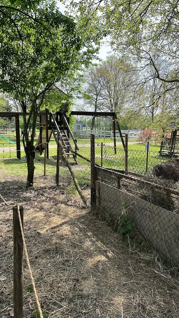 Angela Politi_Agriturismo Papaveri e Papere di azienda agricola Bottazzin Raffaela e figli -Caltana Ve_Caltana_review