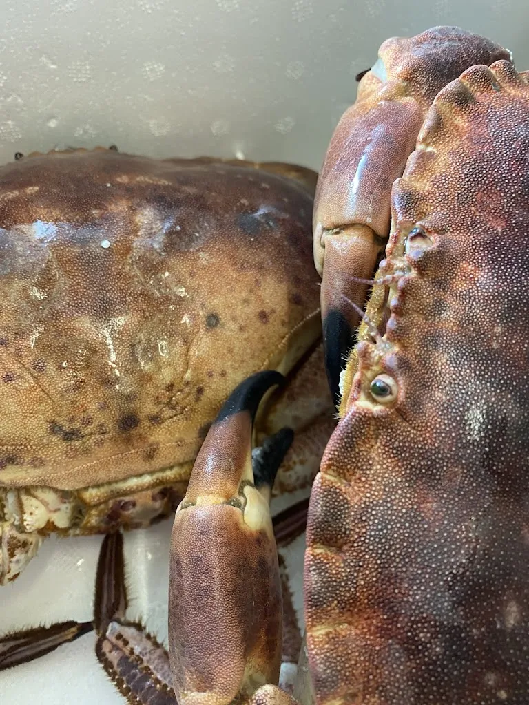 Menu_Soprattutto_Caltana_image_6