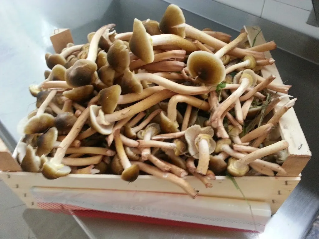 Al Poncio_Caltana_slider_image_2