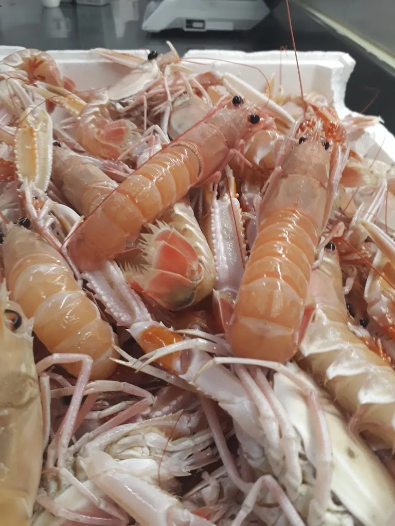 Menu_Bar Campalto Snc Di Campalto Massimo & C._Campalto_image_4