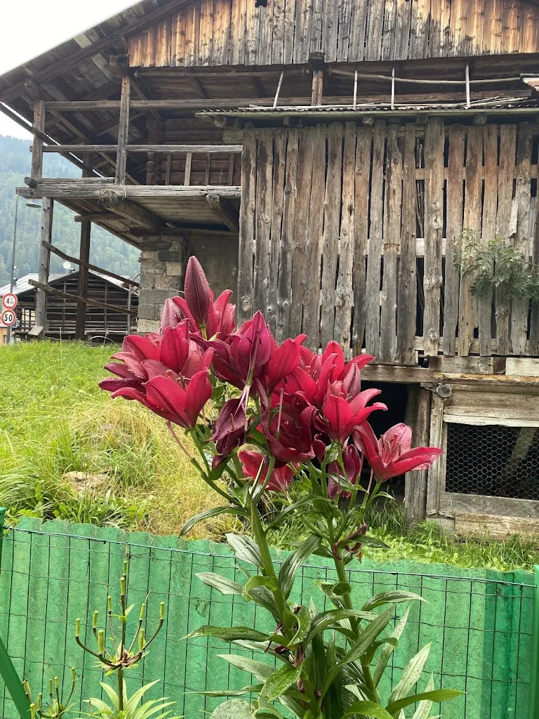 Marilena Laurenti_Macelleria Costa Canale_Canale d'Agordo_review