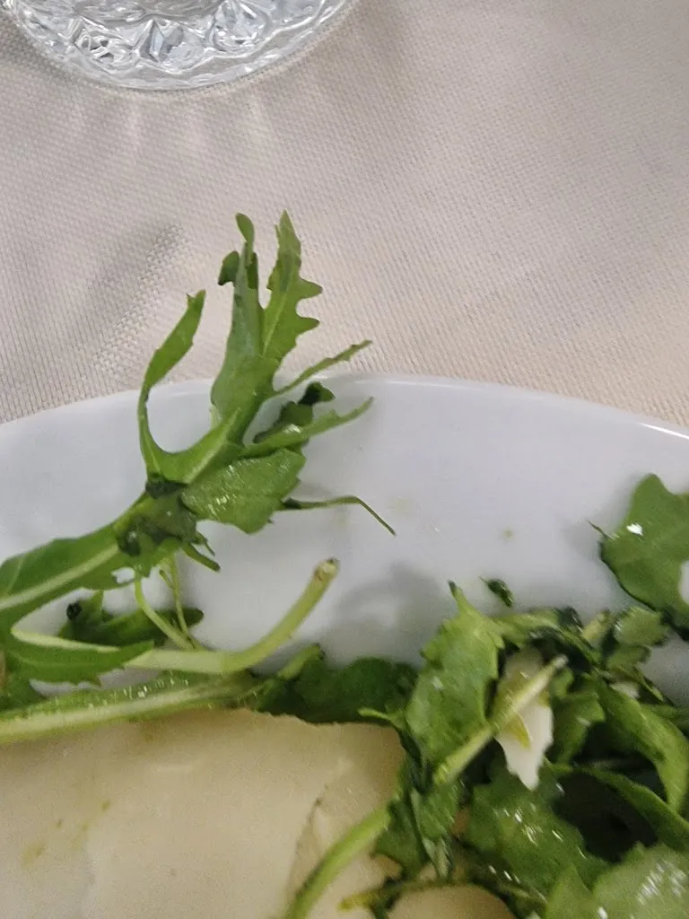 Menu_Ristorante Pizzeria 