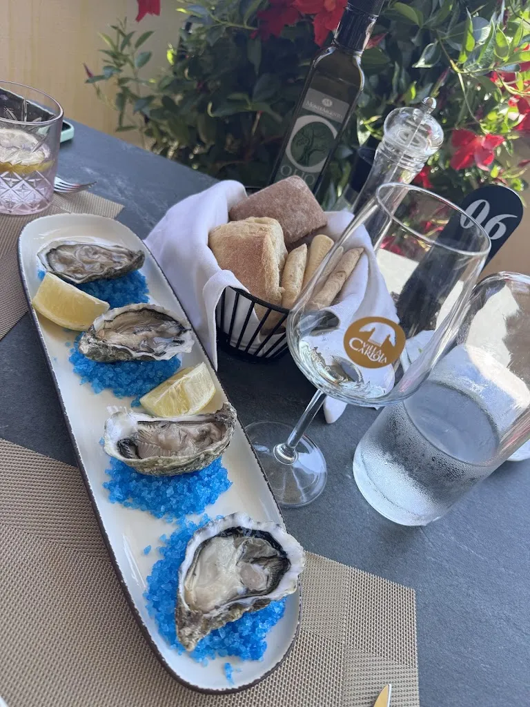 Alina Igdislamova_Belvedere Panoramic Restaurant_Caprino Veronese_review