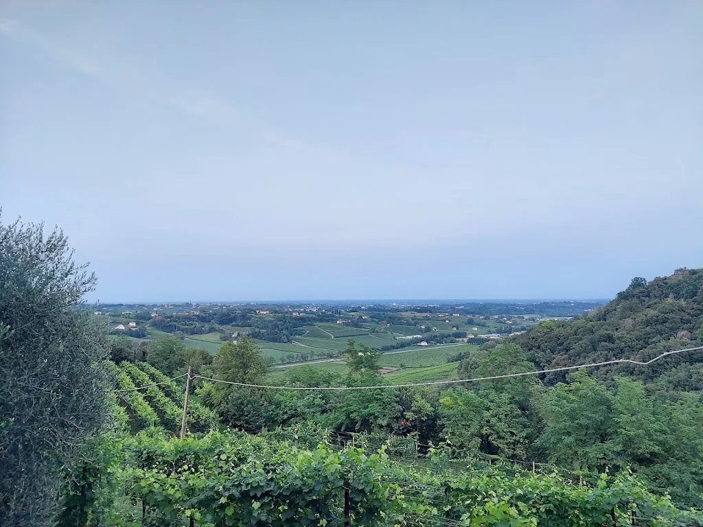 Denis Pistellato_Ristorante 28° Buca_Caniezza_review