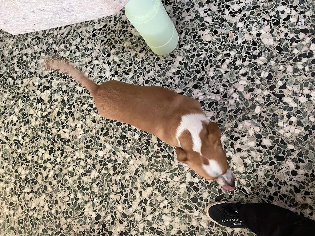 Margaux Barbier_Trattoria Da Miet_Caniezza_review