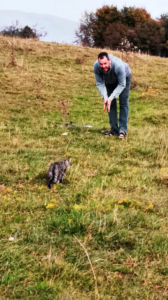 Gigia TravelCat_Trattoria Da Miet_Caniezza_review