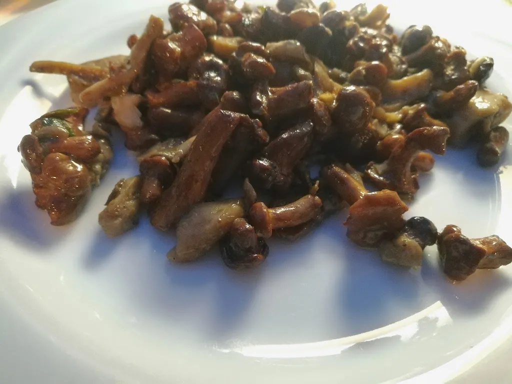 brownthebear_Trattoria Pizzeria Da Besse_Caniezza_review