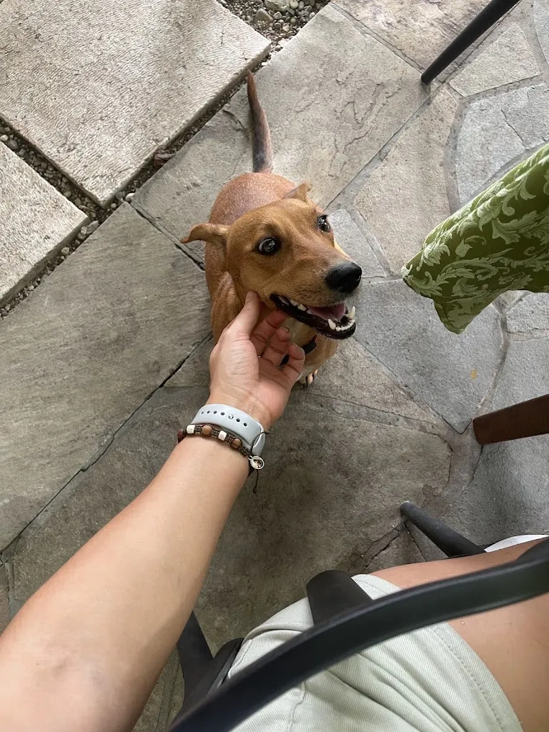 Elisabeth Parsons_Agriturismo Da Memi e Maria_Caniezza_review