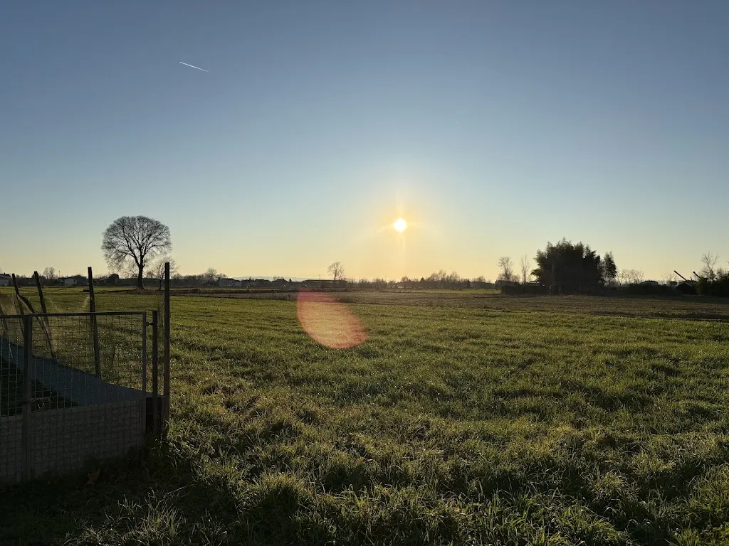 Ilario Carollo_Agriturismo Cenzon_Carmignano di Brenta_review