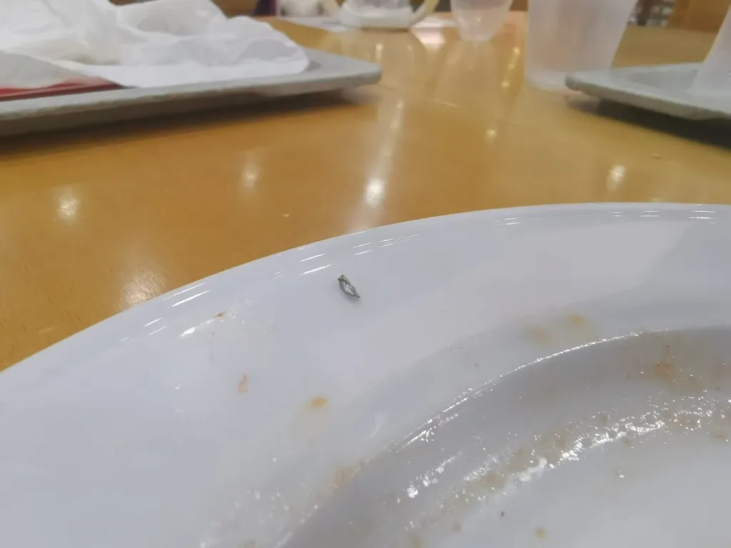 Filippo Casamassima_Sarni San Pelagio Est_Carrara San Giorgio_review