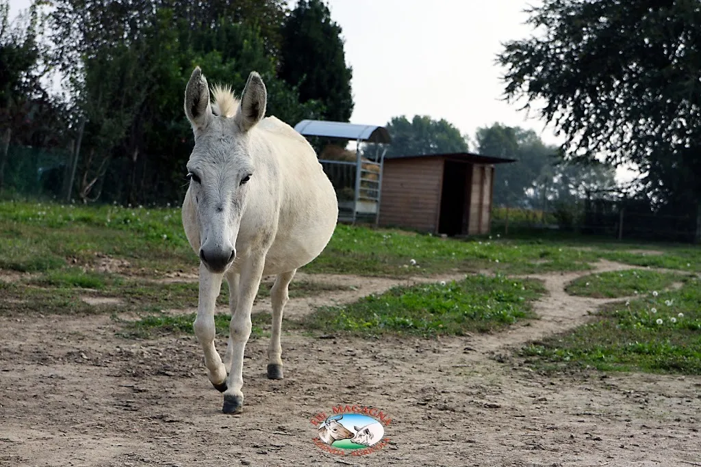 Fratelli Magagna Società Agricola _Cartura_slider_image_2