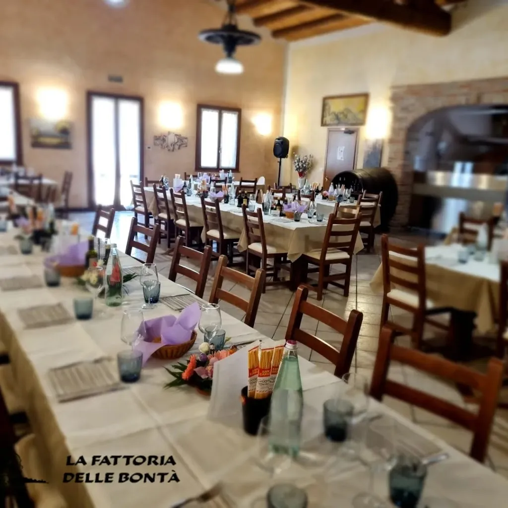 The Farm of Goodness_Casale di Scodosia_slider_image_1