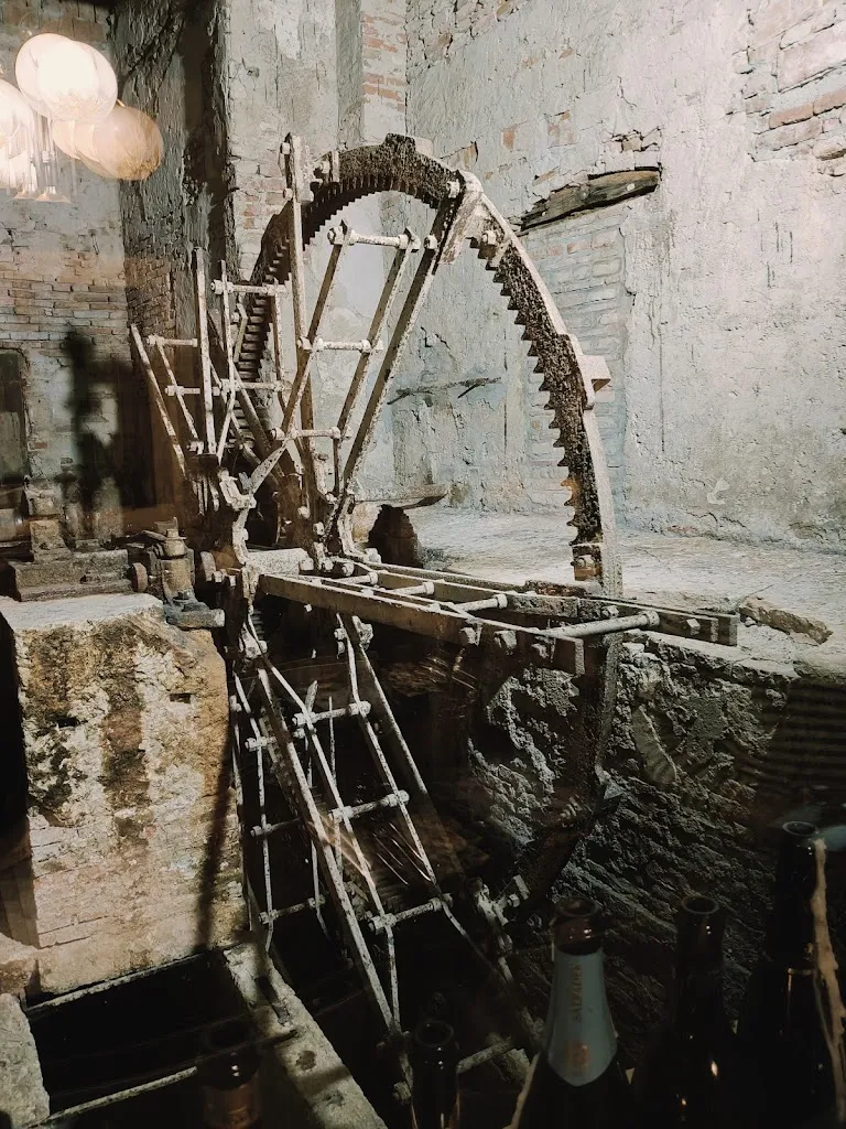 Vicentiu Apetrei_Officina dei Sapori di Beppe e Michelle_Casaleone_review