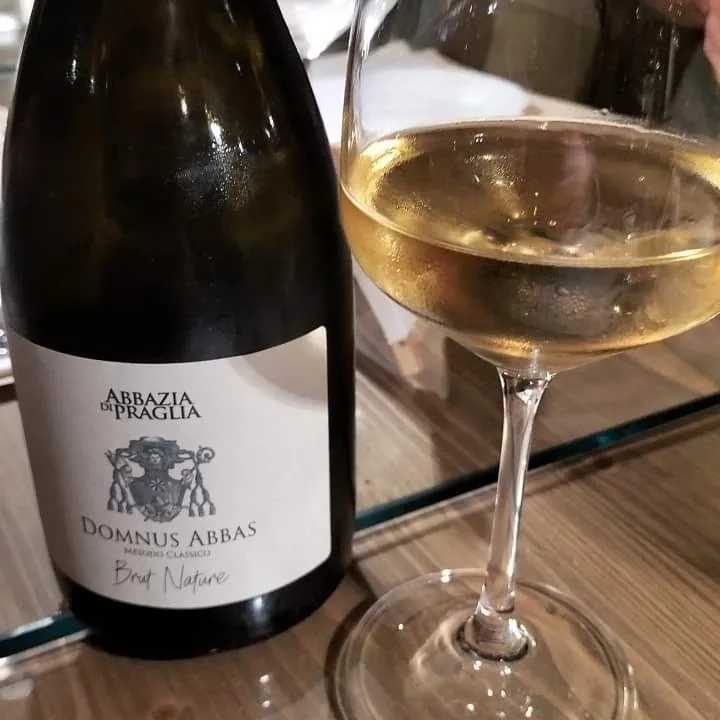 Alberto Gava _Oeno_Casalserugo_review