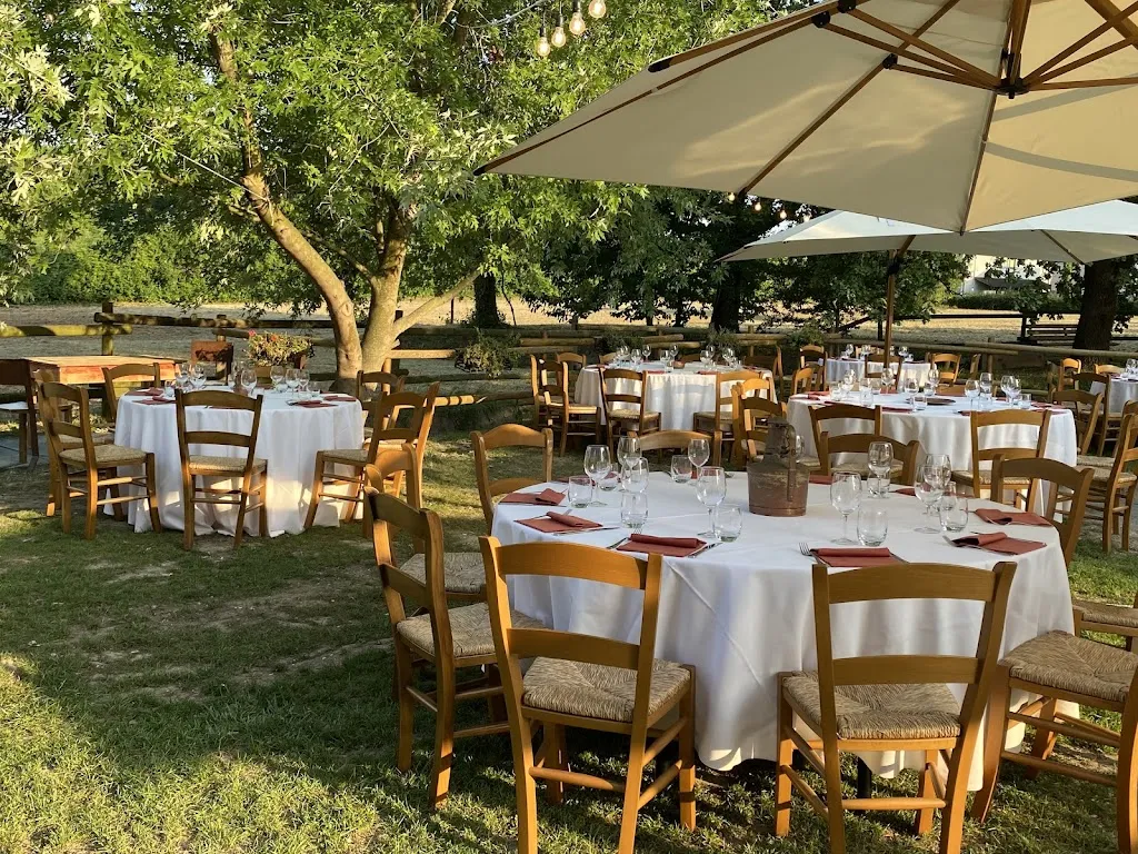 Osteria Vivace restaurant in Casale sul Sile