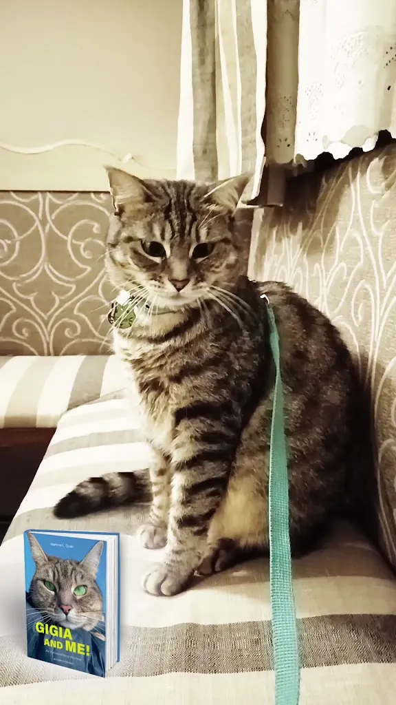 Gigia TravelCat_Ristorante Osteria al Borgo Antico_Casier_review