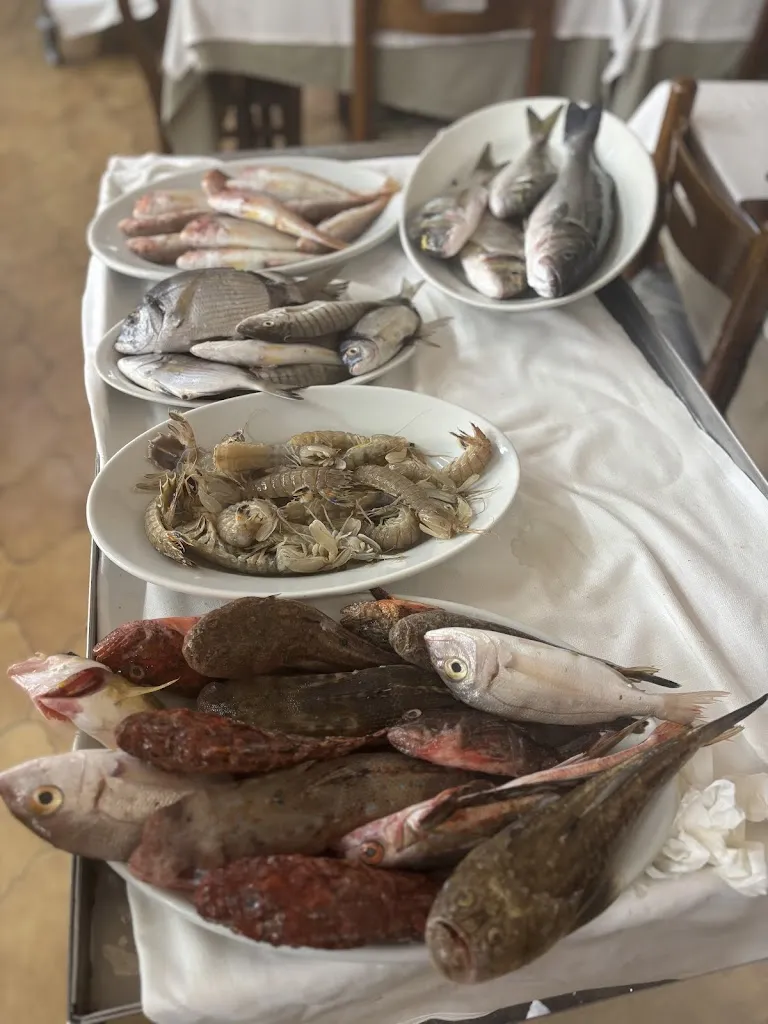 Dominika Żurowska_La Gardenia Blu_Palagiano_recensione