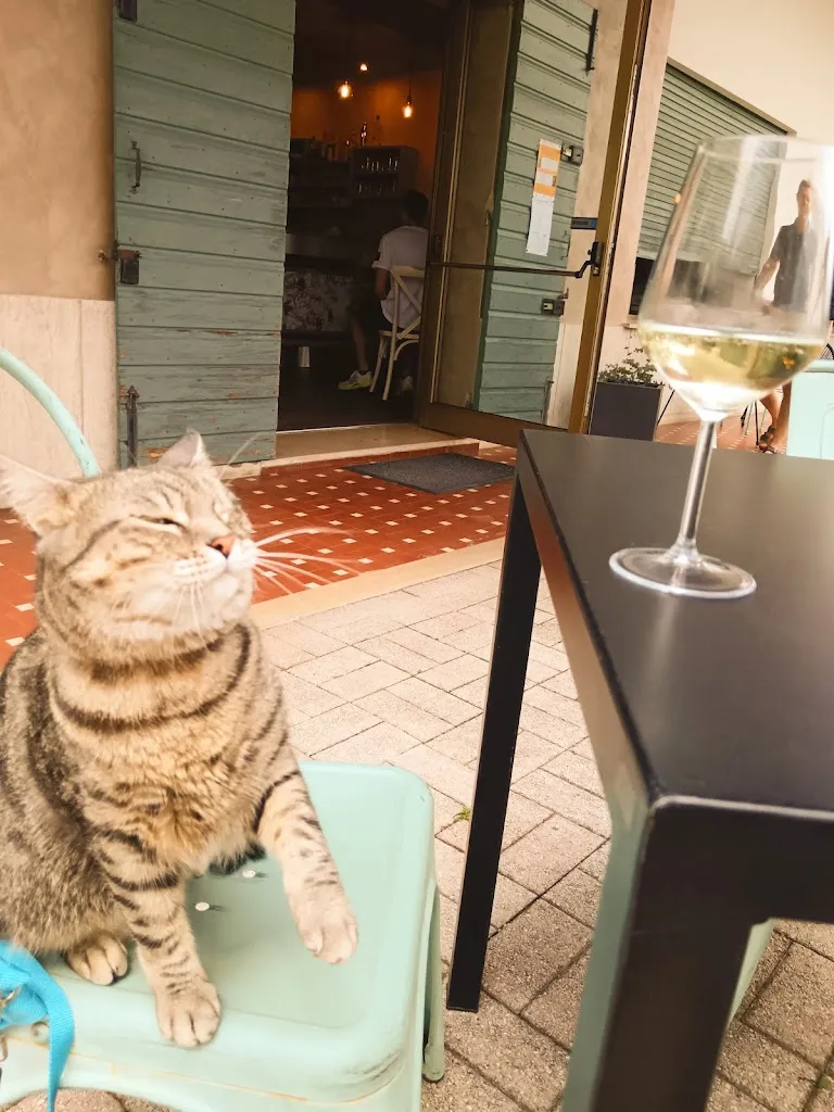 Gigia TravelCat_Pasticceria San Gaetano Da Mariano_Castelcucco_review