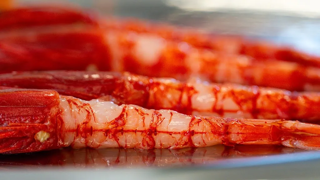 Corallo Cucina Contemporanea_Caselle_slider_image_2