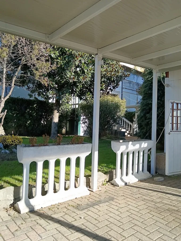 Clelia Pagano_Le Due Magnoglie_Caselle_review