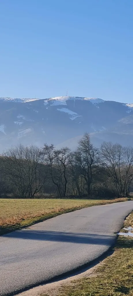 SELF SERVICE restaurant in Caselle