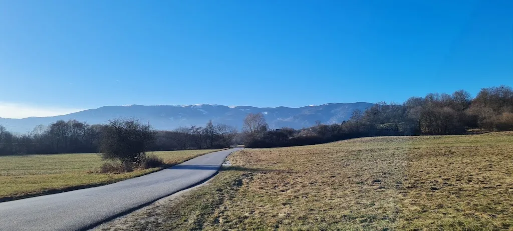 SELF SERVICE_Caselle_slider_image_2