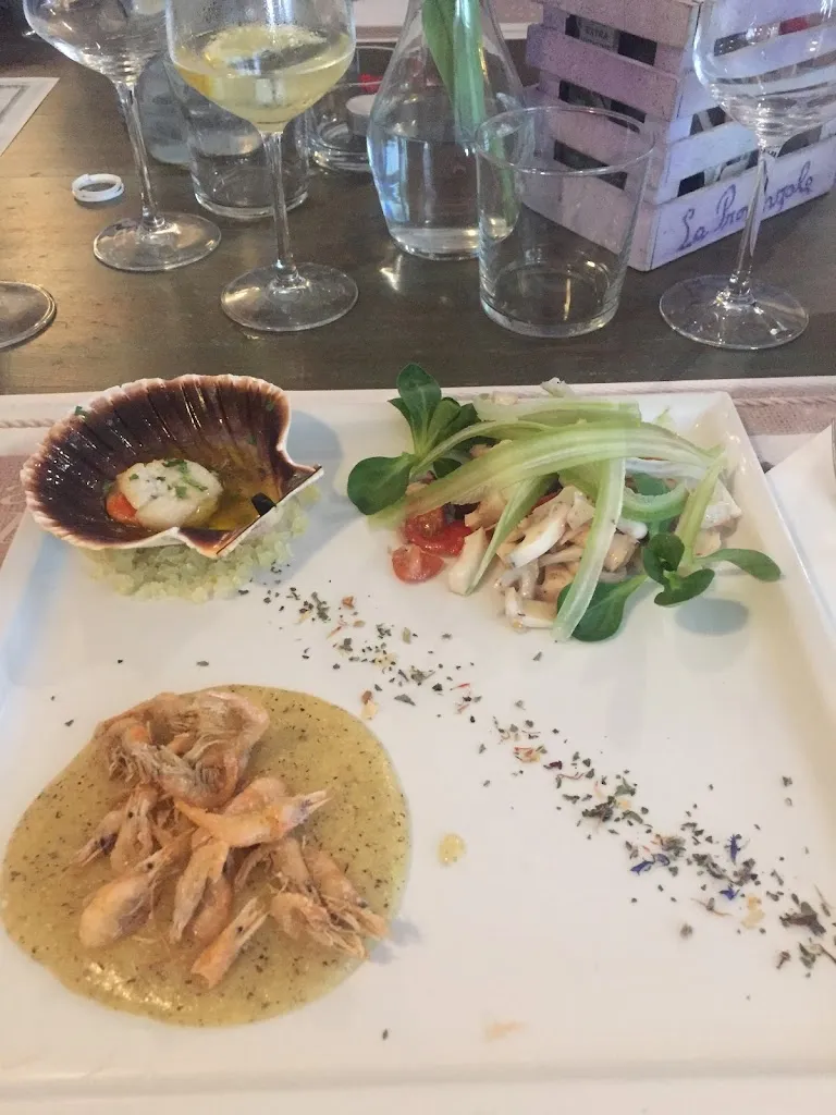 Claudia Musca_La Provenzale_Castelminio_review