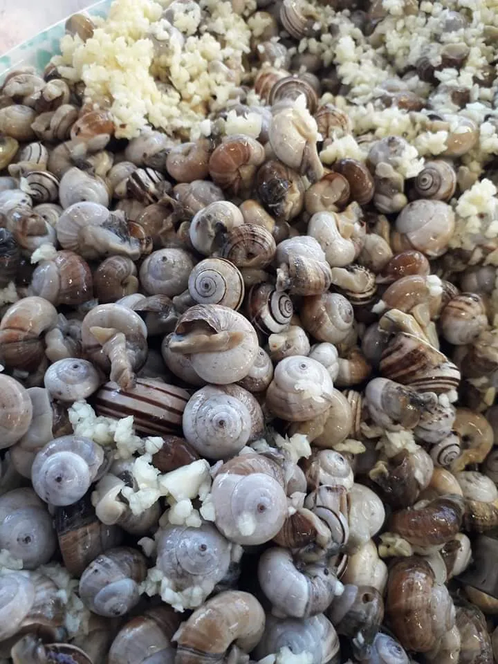 Menu_Tutto il mare da Rico food truck_Castelminio_image_9