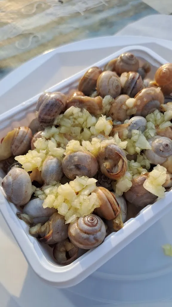 Tutto il mare da Rico food truck_Castelminio_slider_image_3