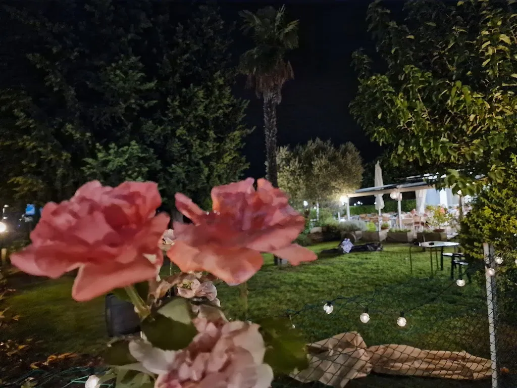 Dejan Burja_Sorriso Pizzeria Ristorante_Castelnuovo del Garda_review