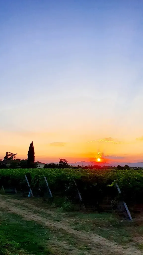 Despina PONOMARENCO_Trattoria al Morar_Castelnuovo del Garda_review