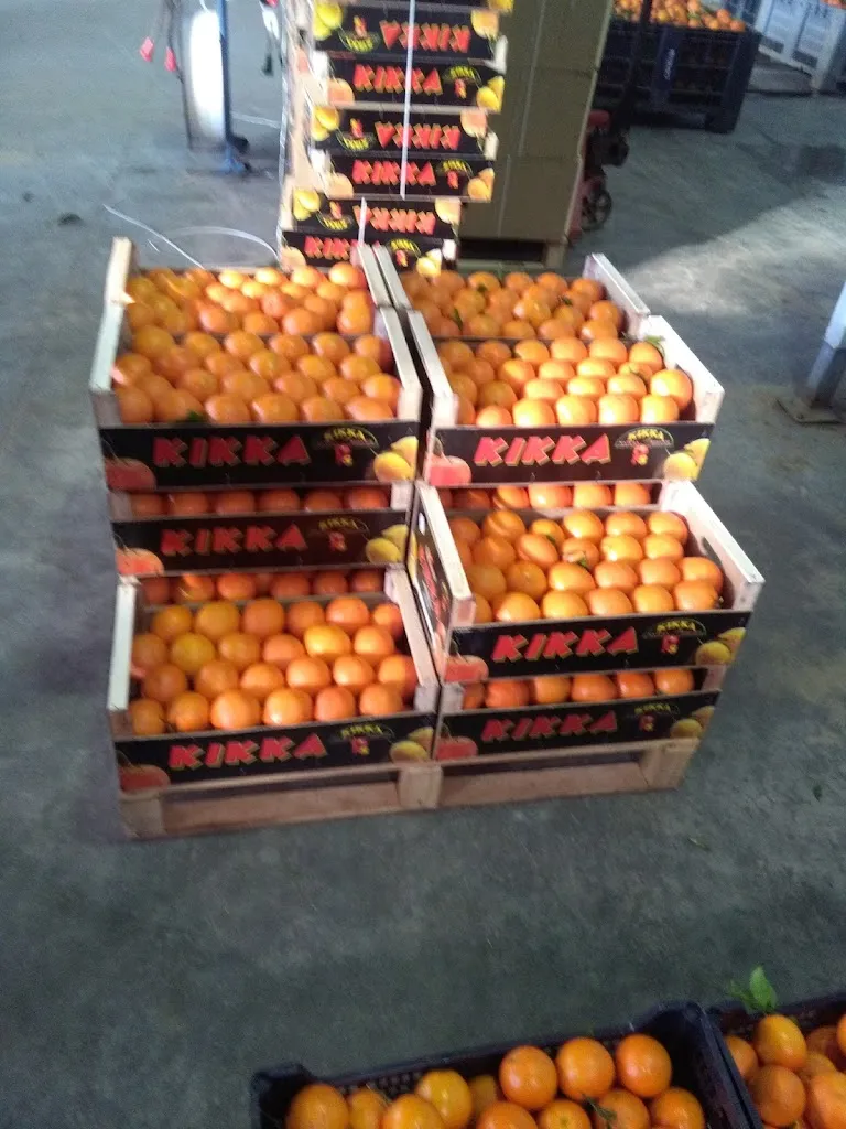 Menu_Dream Cafè_Palagiano_image_1