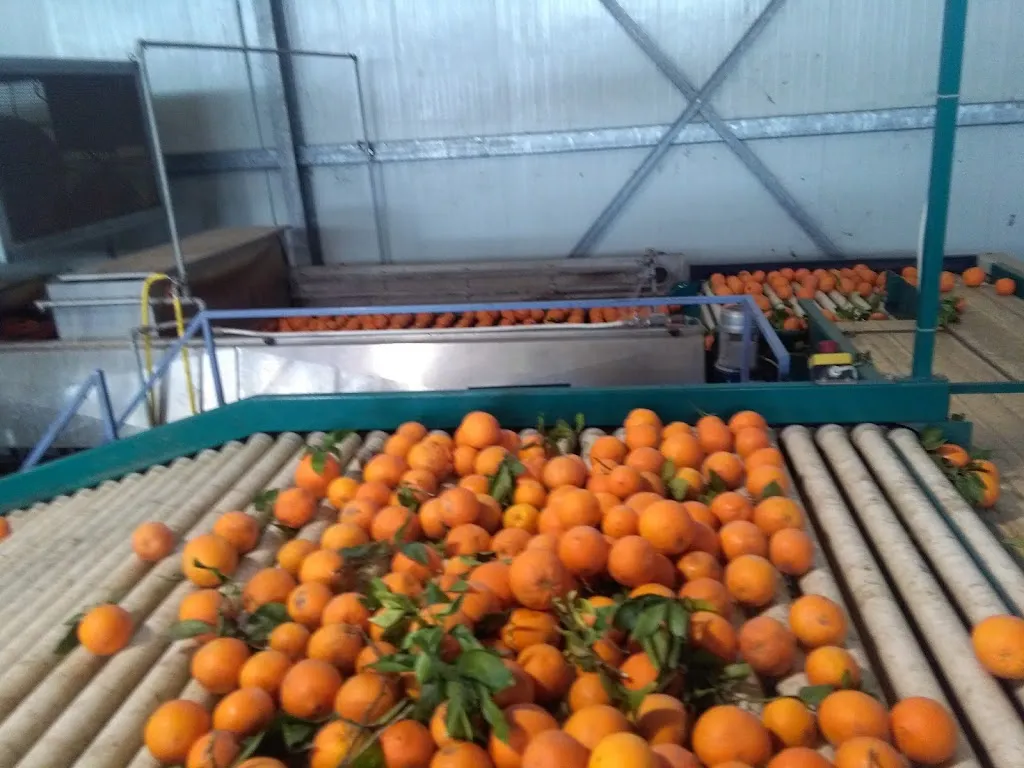 Menu_Dream Cafè_Palagiano_image_5