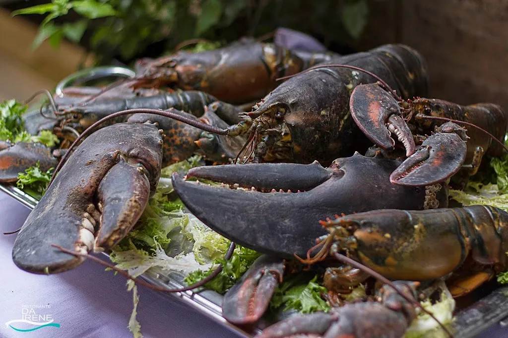 Ristorante da Irene_Castelfranco Veneto_slider_image_3