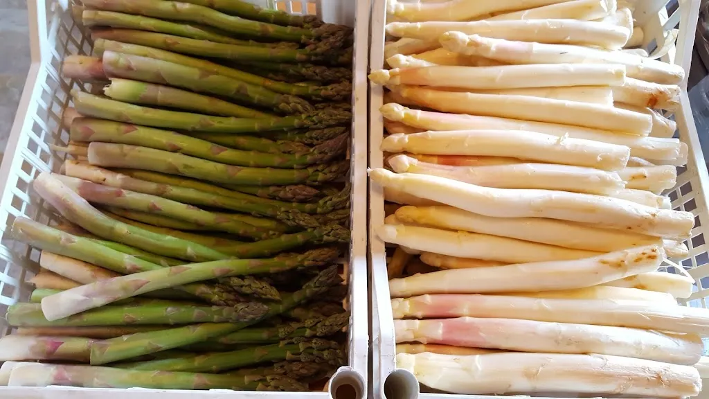 Menu_Pizzeria da Luca Salvarosa Pizze Per Asporto e consegna a domicilio_Castelfranco Veneto_immagine_4