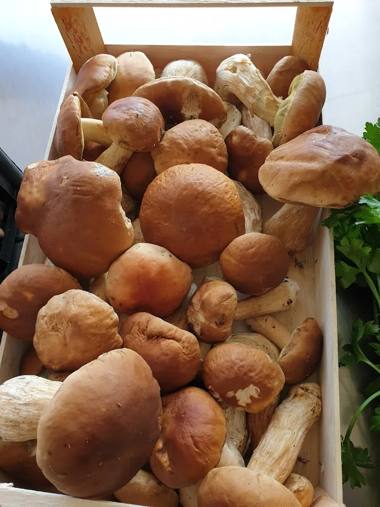 Menu_Pizzeria da Luca Salvarosa Pizze Per Asporto e consegna a domicilio_Castelfranco Veneto_immagine_9