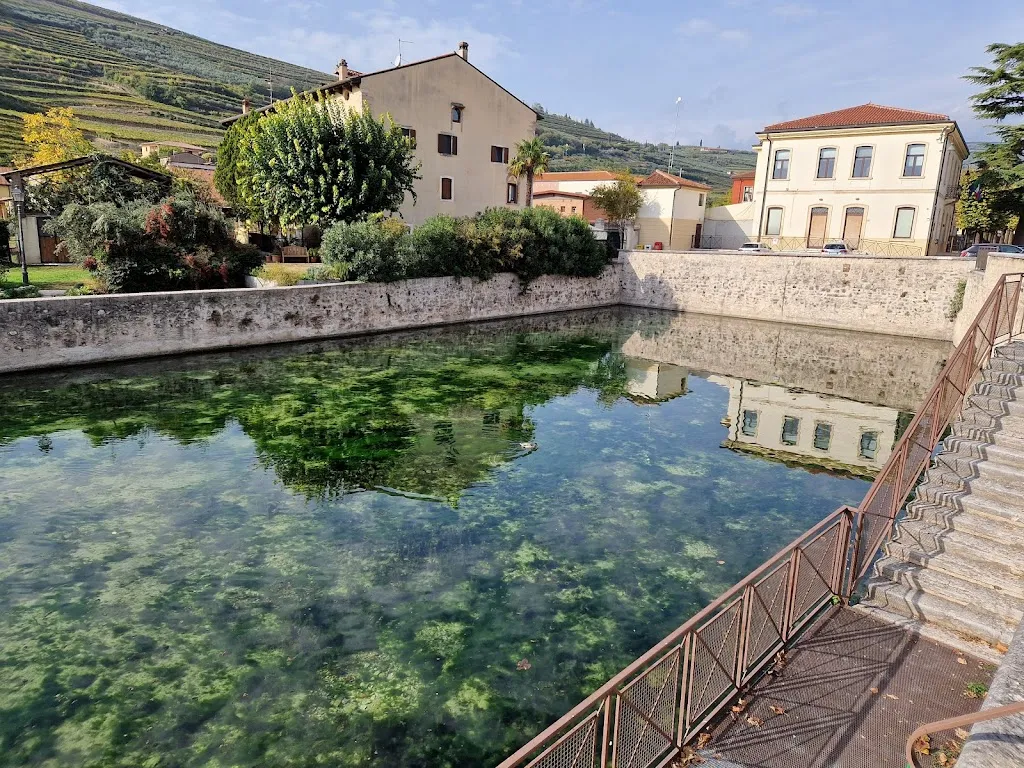 Trattoria La Mora_Cazzano di Tramigna_slider_image_3