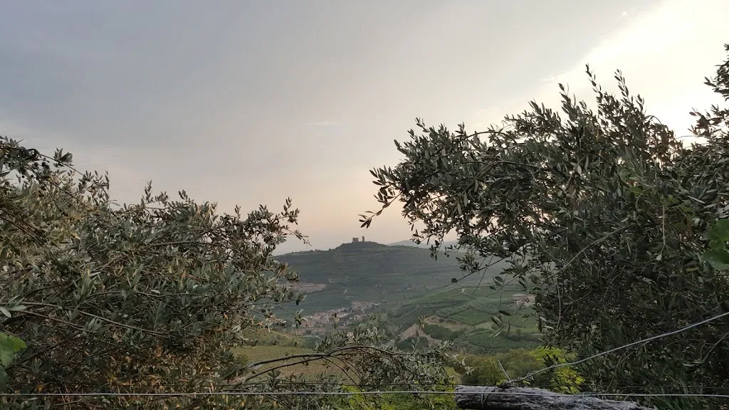 Joerg Geier_Corte Verzè - Agriturismo & Wellness_Cazzano di Tramigna_review