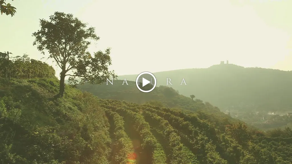 Corte Verzè - Agriturismo & Wellness_Cazzano di Tramigna_slider_image_2