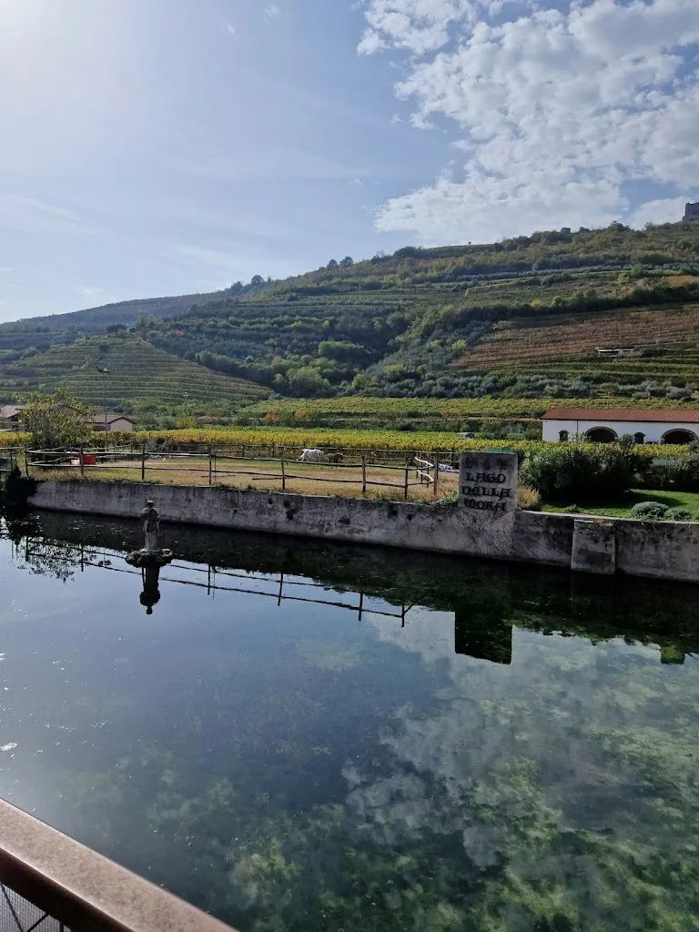 Ristorante Bar Divine Follie Di Fattori Nicola_Cazzano di Tramigna_slider_image_2